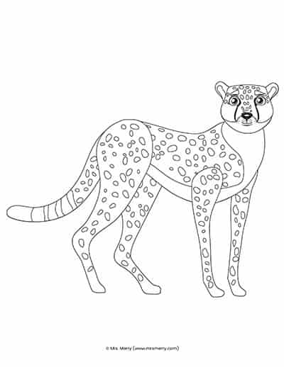 200+ Coloring Page of a Cheetah: Roar with Coloring Excitement 186