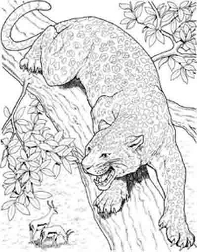 200+ Coloring Page of a Cheetah: Roar with Coloring Excitement 187