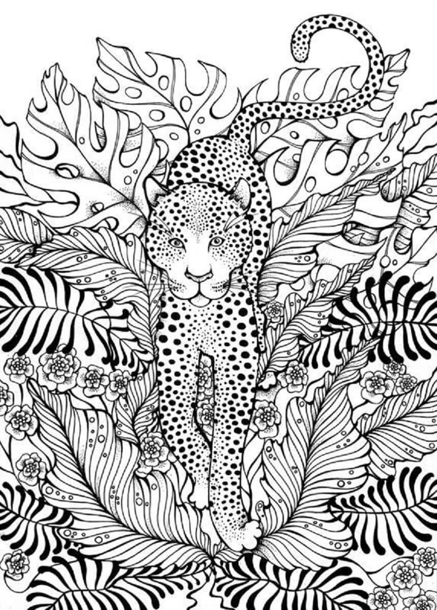 200+ Coloring Page of a Cheetah: Roar with Coloring Excitement 27