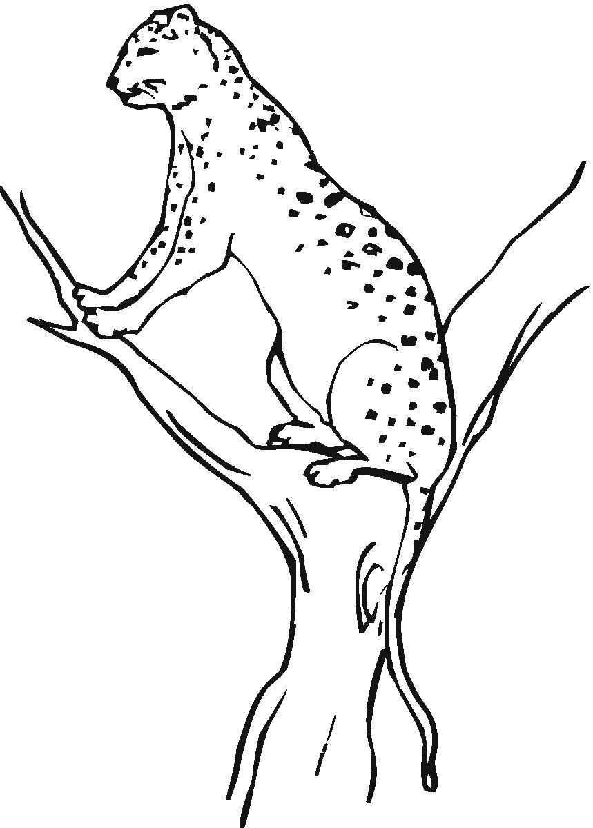 200+ Coloring Page of a Cheetah: Roar with Coloring Excitement 28