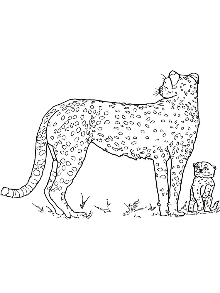 200+ Coloring Page of a Cheetah: Roar with Coloring Excitement 43