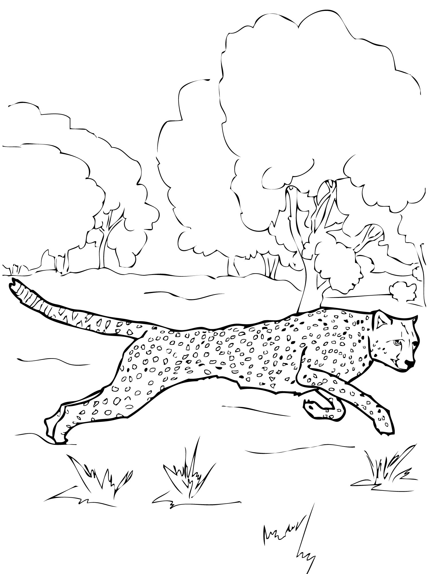 200+ Coloring Page of a Cheetah: Roar with Coloring Excitement 6