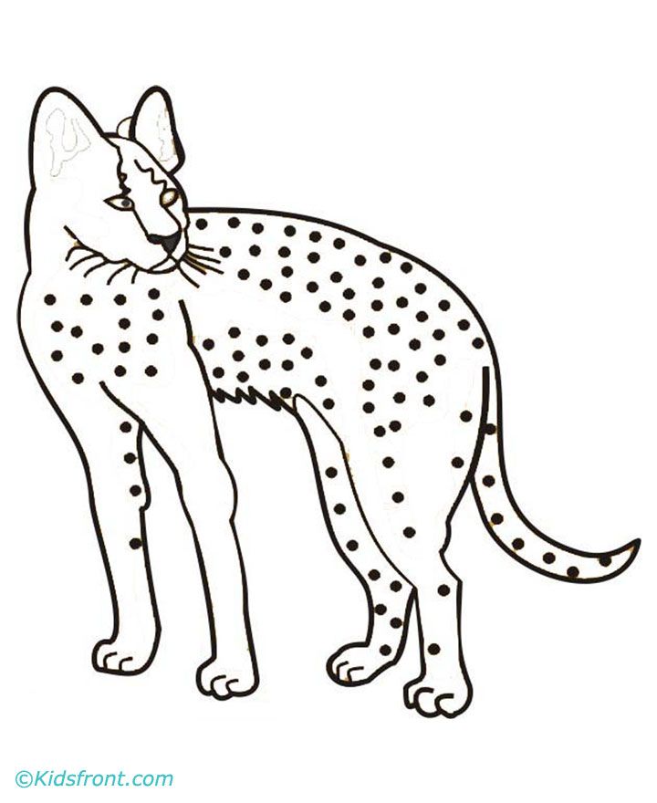 200+ Coloring Page of a Cheetah: Roar with Coloring Excitement 60