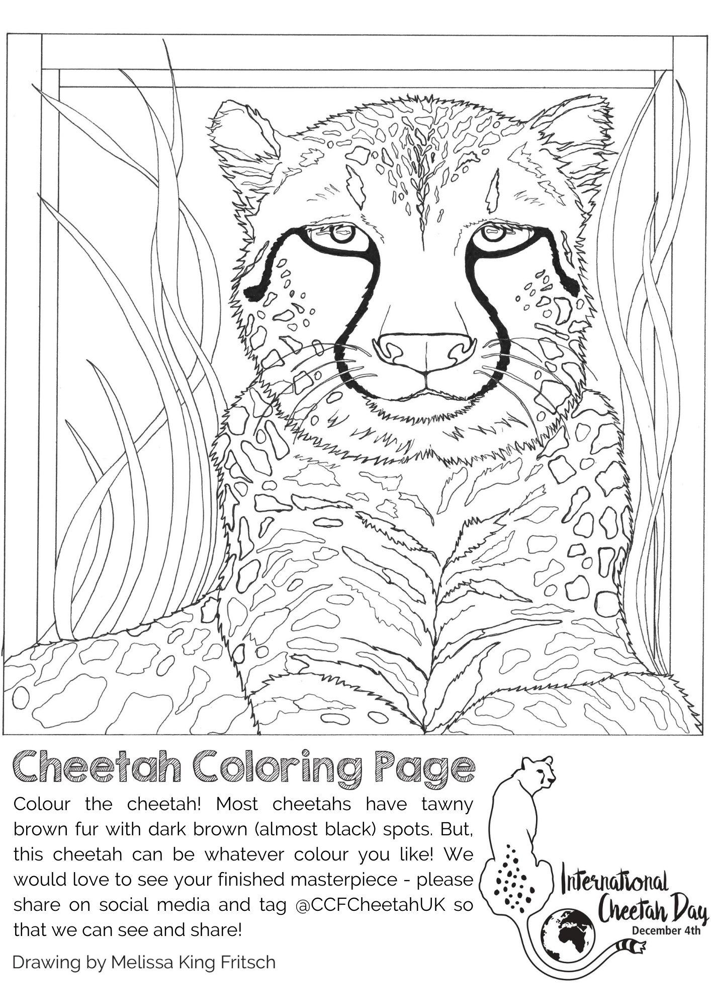 200+ Coloring Page of a Cheetah: Roar with Coloring Excitement 7