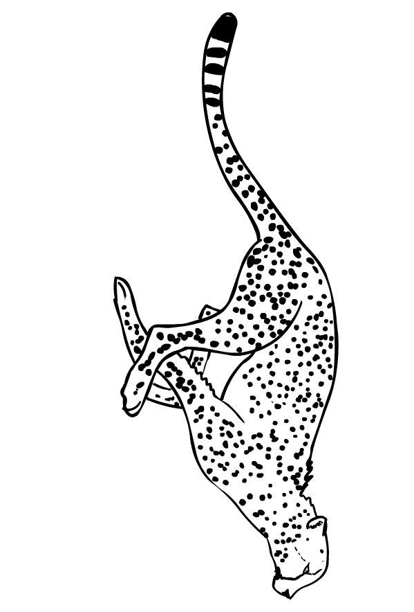 200+ Coloring Page of a Cheetah: Roar with Coloring Excitement 79