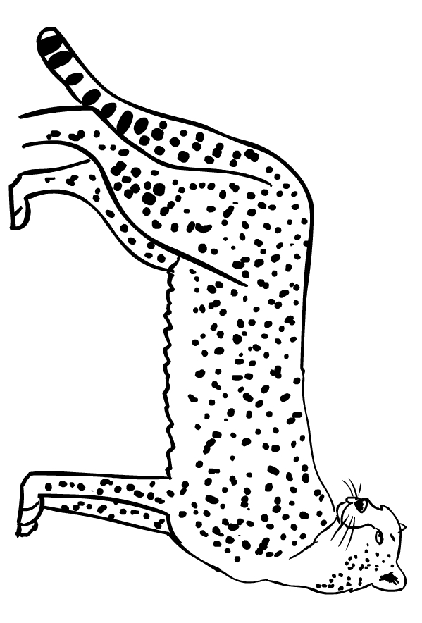 200+ Coloring Page of a Cheetah: Roar with Coloring Excitement 80