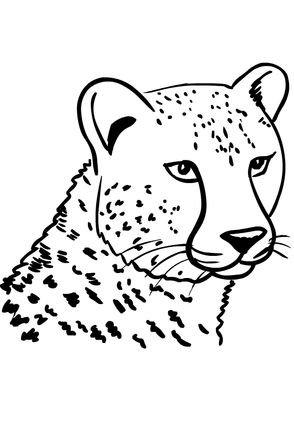 200+ Coloring Page of a Cheetah: Roar with Coloring Excitement 81