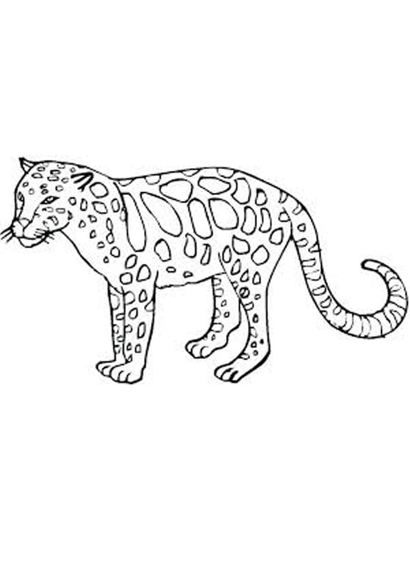 200+ Coloring Page of a Cheetah: Roar with Coloring Excitement 83