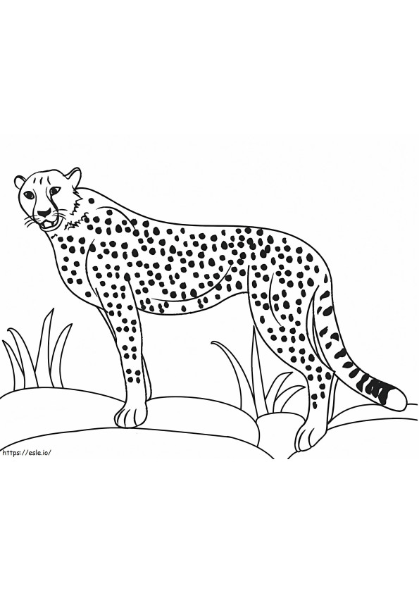 200+ Coloring Page of a Cheetah: Roar with Coloring Excitement 88