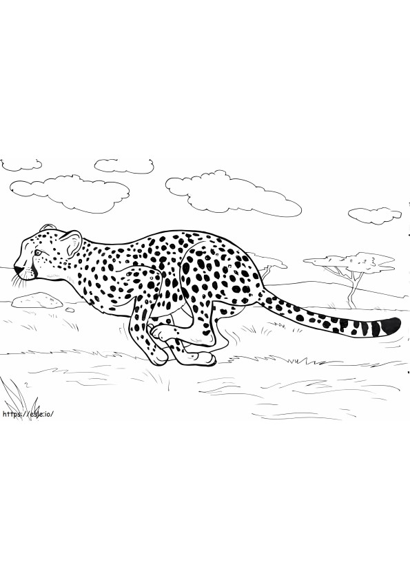 200+ Coloring Page of a Cheetah: Roar with Coloring Excitement 90