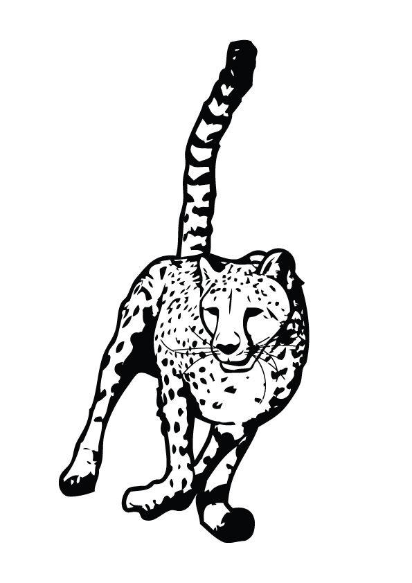 200+ Coloring Page of a Cheetah: Roar with Coloring Excitement 91