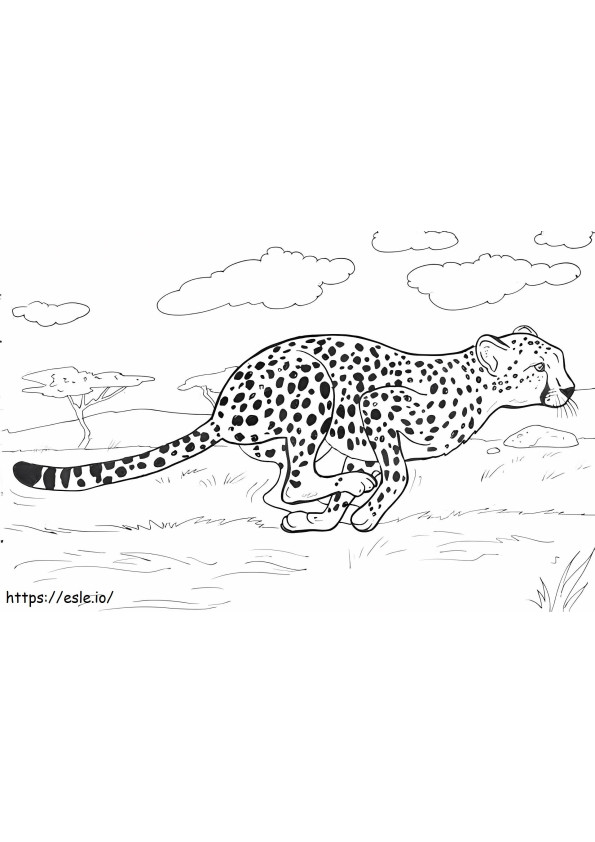 200+ Coloring Page of a Cheetah: Roar with Coloring Excitement 92