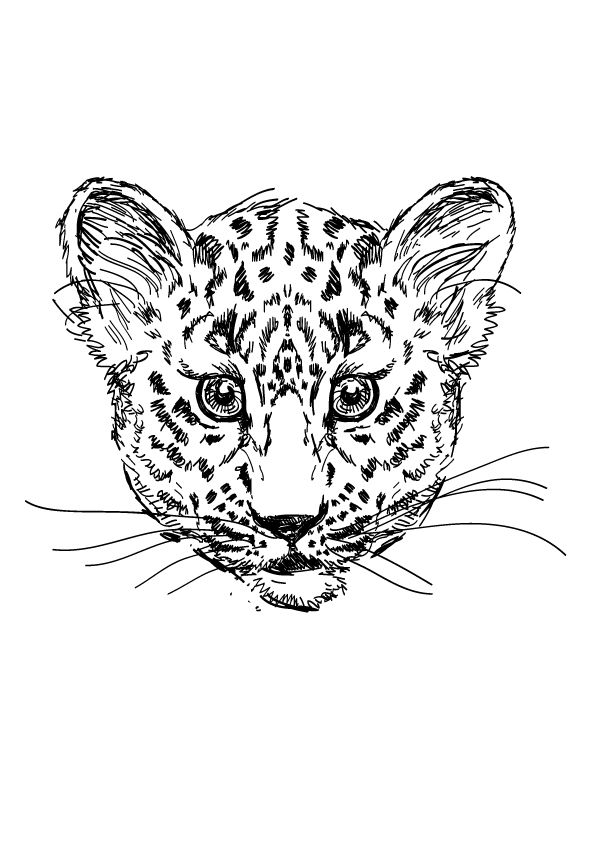 200+ Coloring Page of a Cheetah: Roar with Coloring Excitement 94