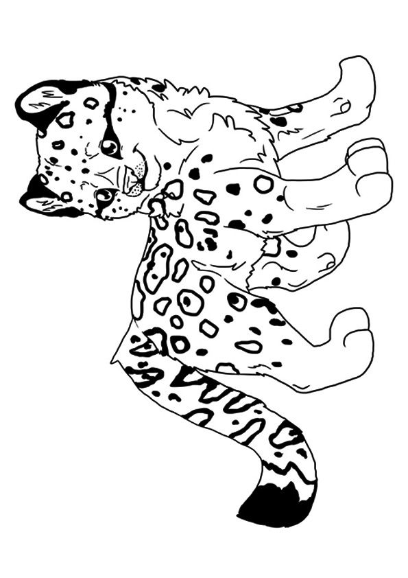 200+ Coloring Page of a Cheetah: Roar with Coloring Excitement 95