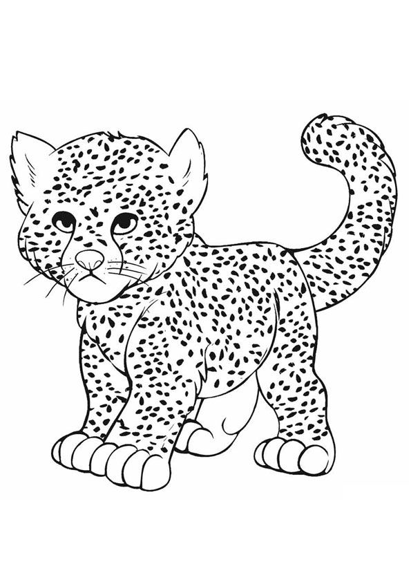 200+ Coloring Page of a Cheetah: Roar with Coloring Excitement 99