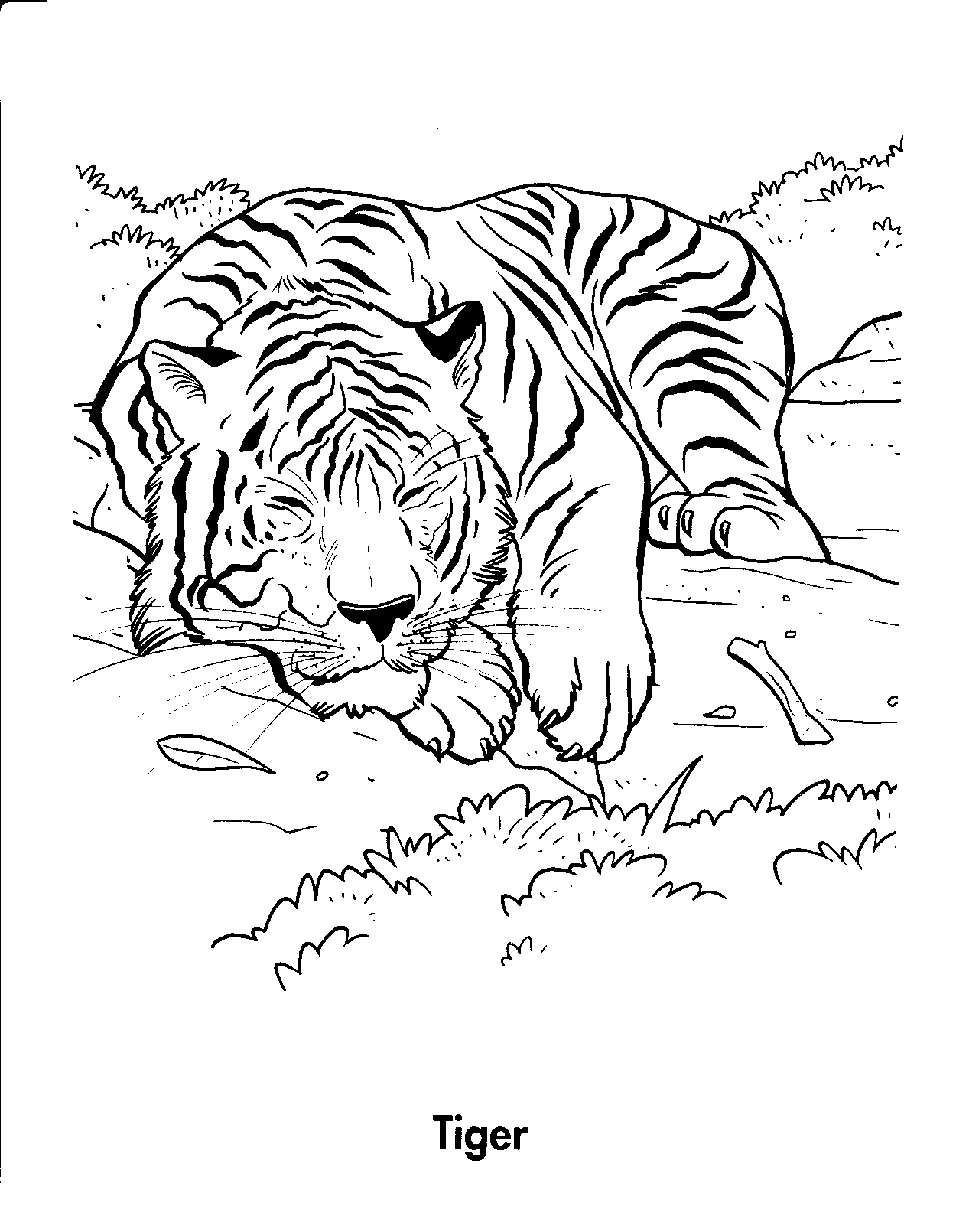 90+ Tiger Coloring Page Designs: Roaring Coloring Adventures 12