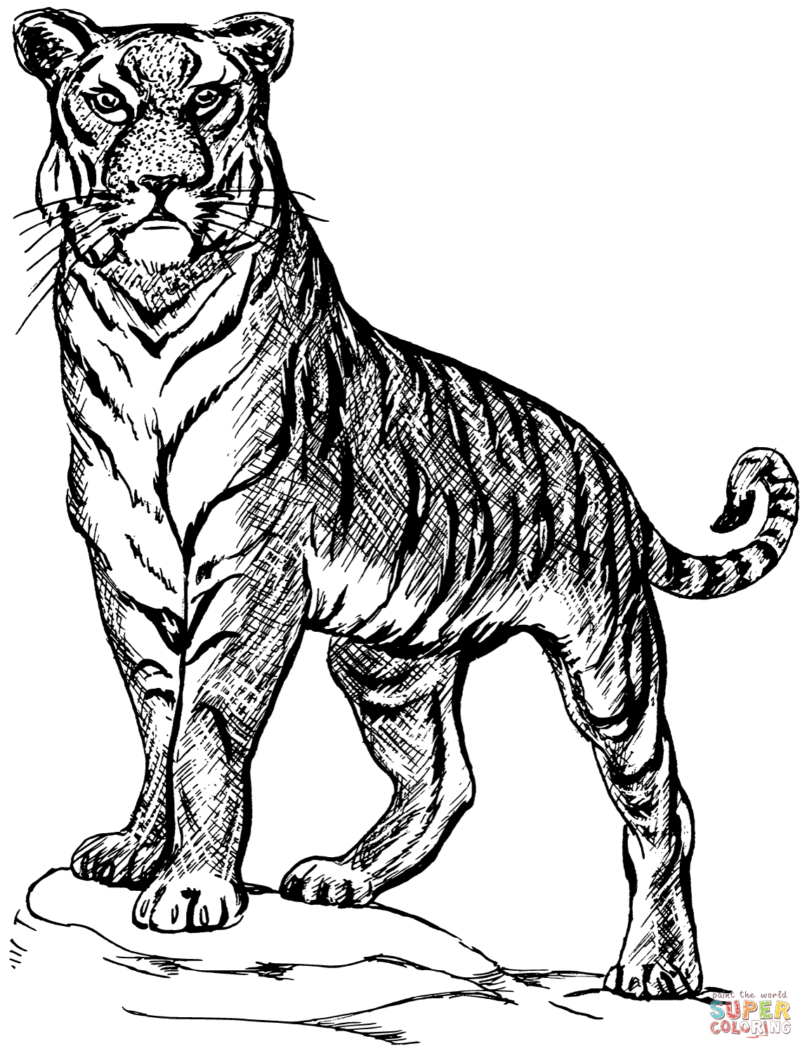 90+ Tiger Coloring Page Designs: Roaring Coloring Adventures 20