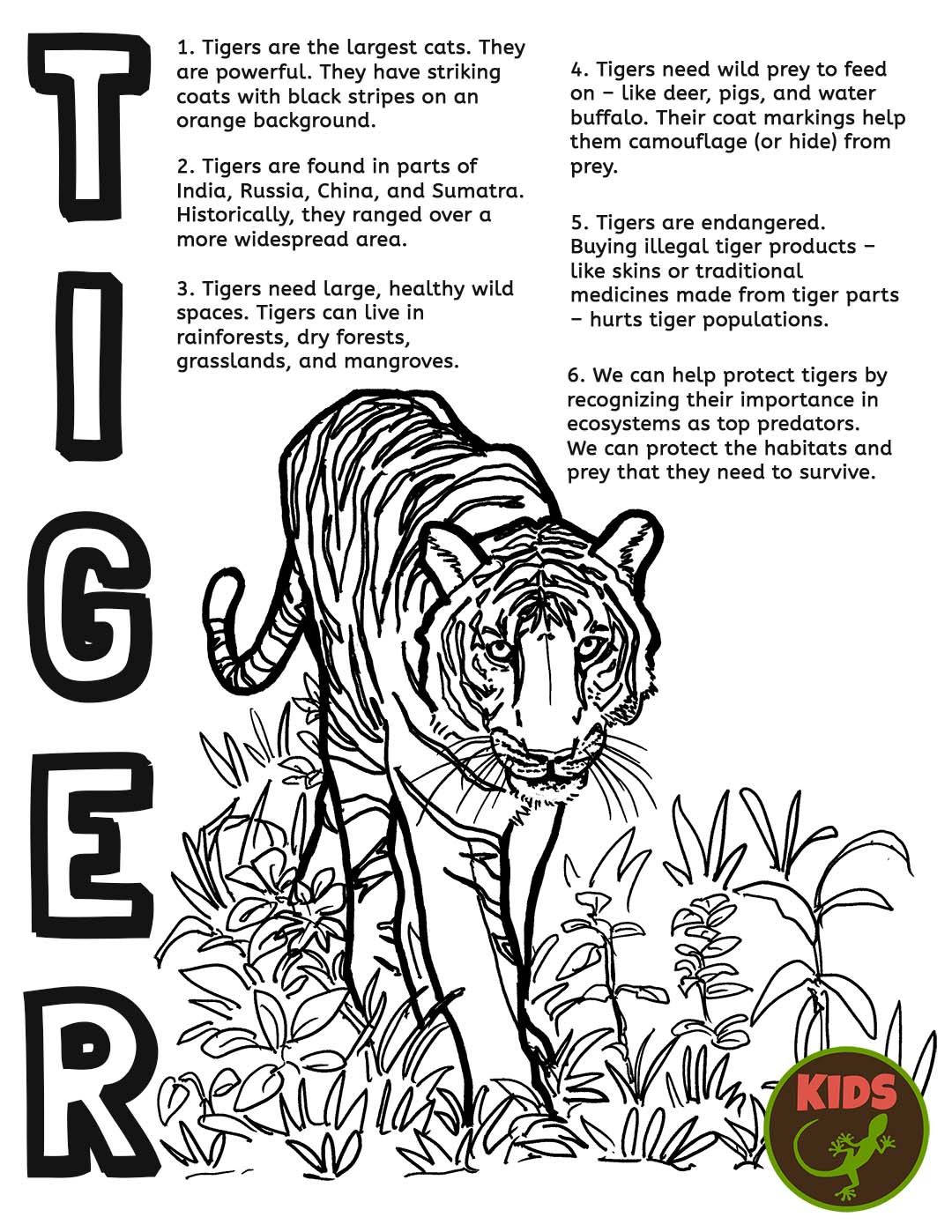 90+ Tiger Coloring Page Designs: Roaring Coloring Adventures 22