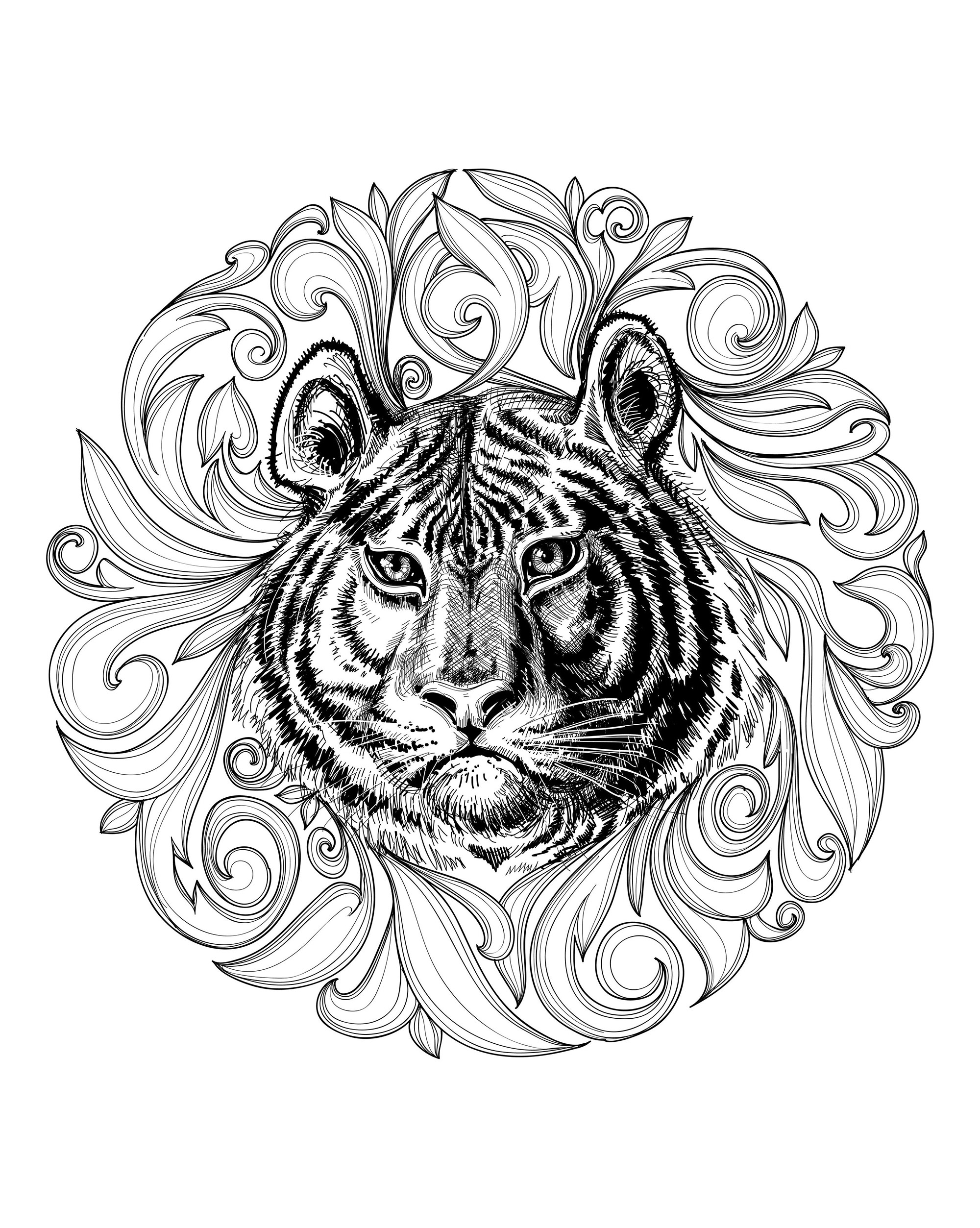 90+ Tiger Coloring Page Designs: Roaring Coloring Adventures 3