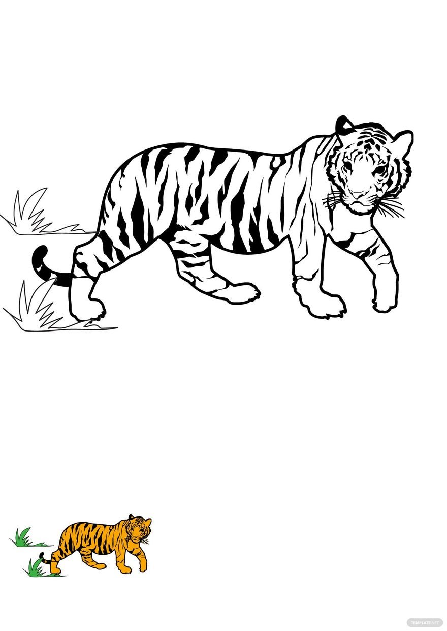 90+ Tiger Coloring Page Designs: Roaring Coloring Adventures 34