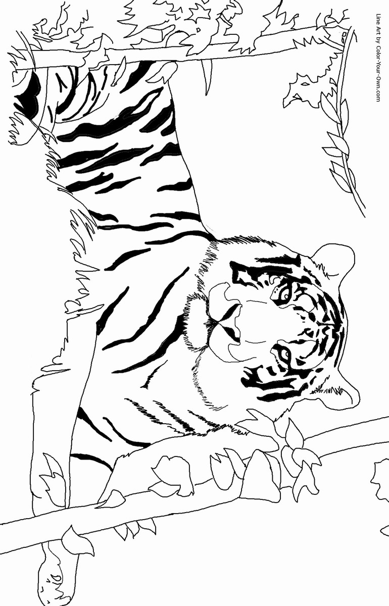 90+ Tiger Coloring Page Designs: Roaring Coloring Adventures 41