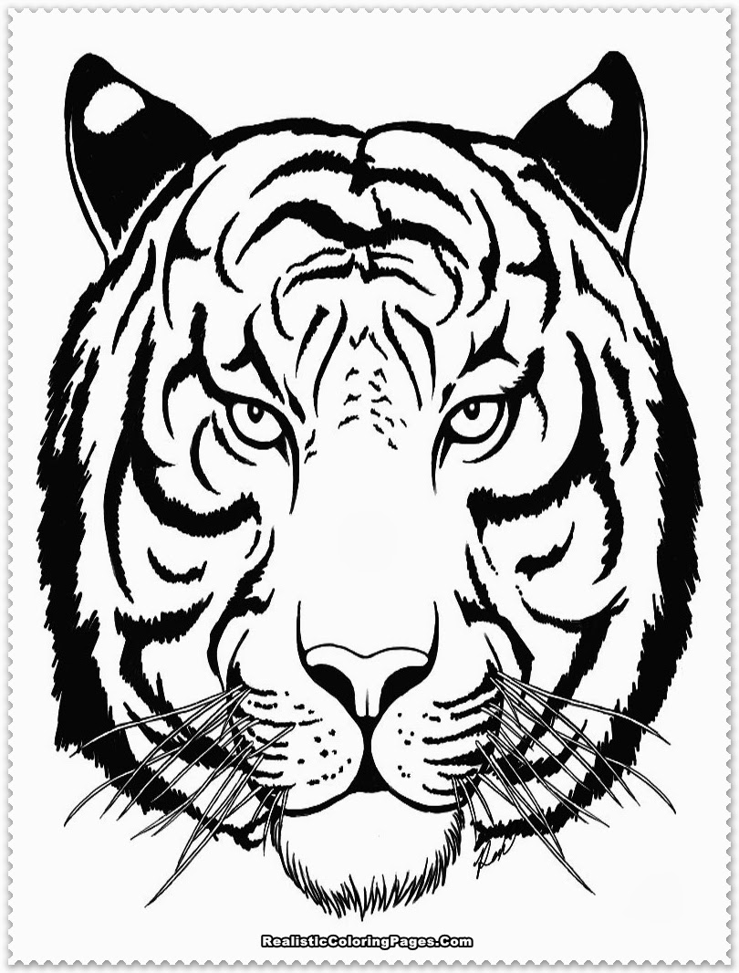 90+ Tiger Coloring Page Designs: Roaring Coloring Adventures 42