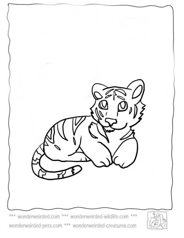 90+ Tiger Coloring Page Designs: Roaring Coloring Adventures 61