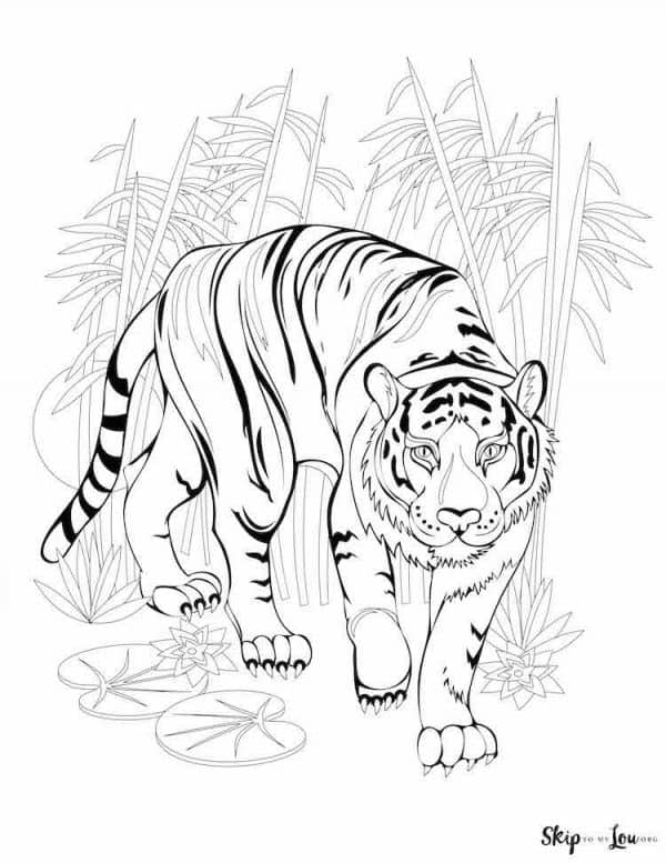 90+ Tiger Coloring Page Designs: Roaring Coloring Adventures 69