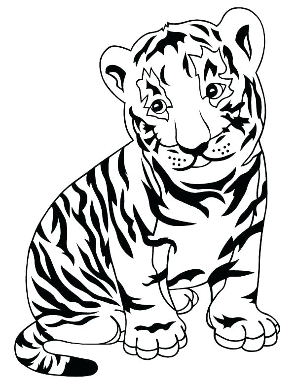 90+ Tiger Coloring Page Designs: Roaring Coloring Adventures 73