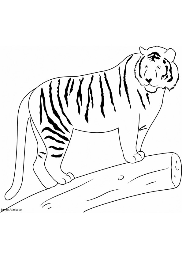 90+ Tiger Coloring Page Designs: Roaring Coloring Adventures 82