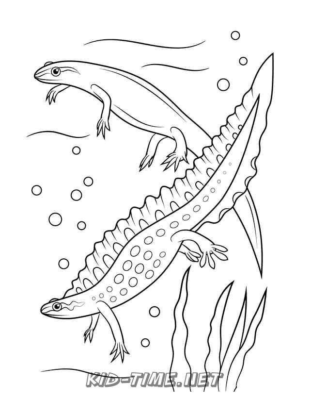 130 Lizard Coloring Pages: A Reptilian Adventure 11