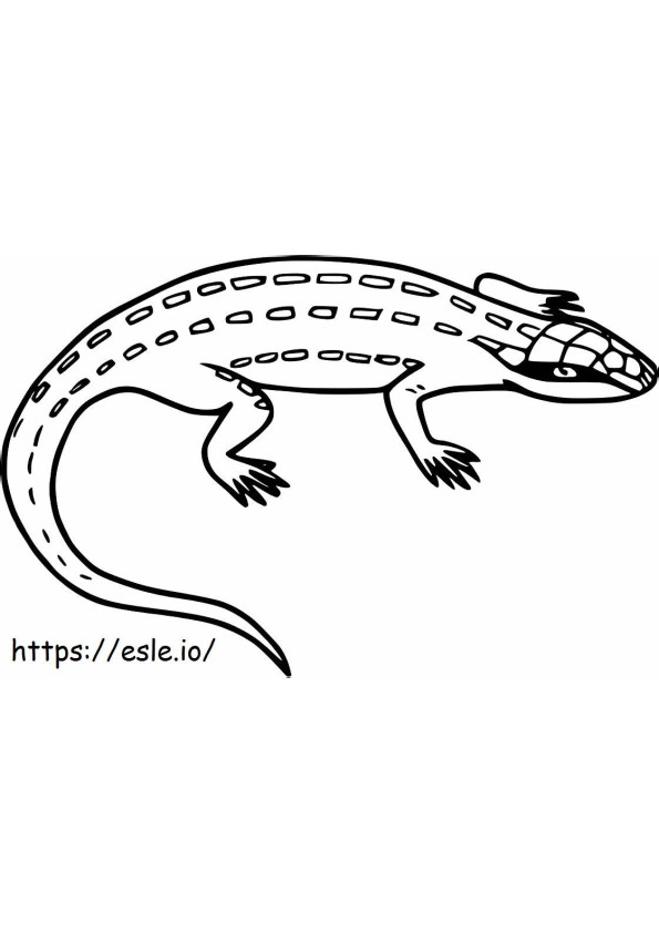 130 Lizard Coloring Pages: A Reptilian Adventure 111