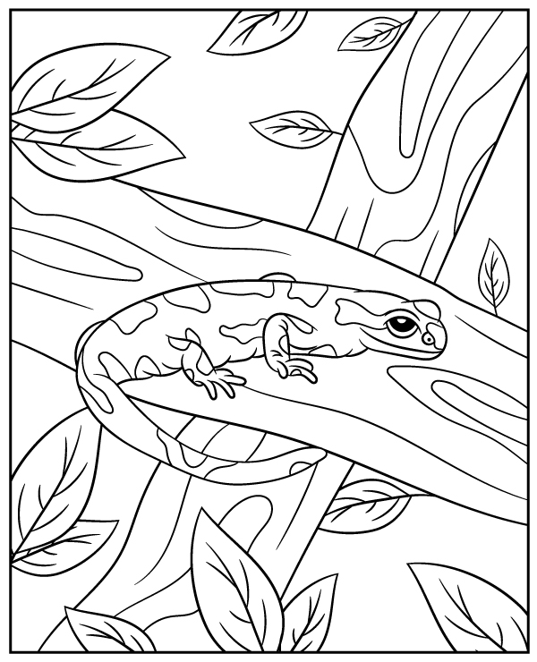 130 Lizard Coloring Pages: A Reptilian Adventure 113