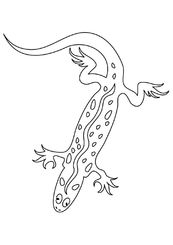 130 Lizard Coloring Pages: A Reptilian Adventure 119