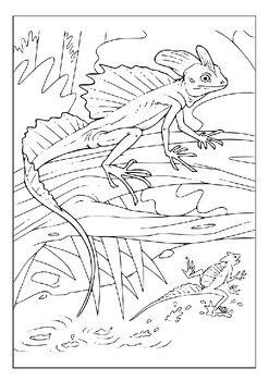 130 Lizard Coloring Pages: A Reptilian Adventure 127