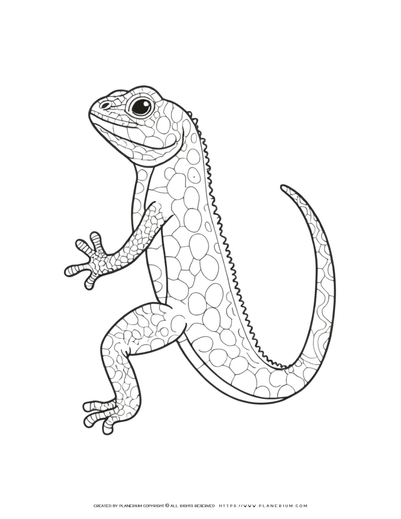 130 Lizard Coloring Pages: A Reptilian Adventure 15