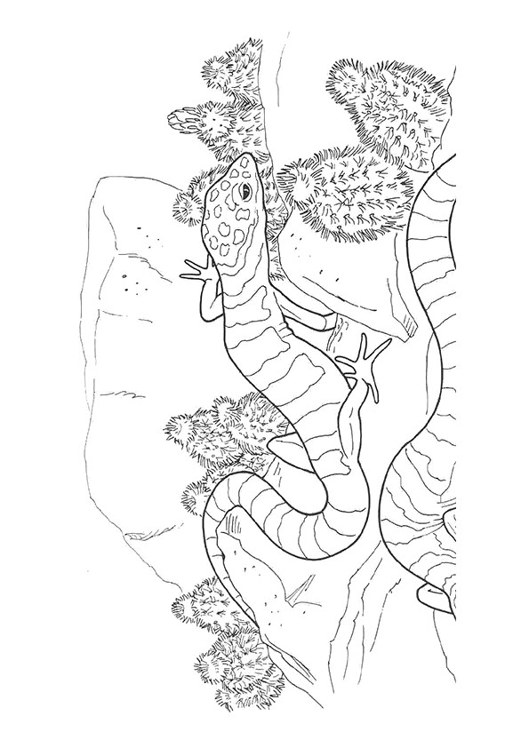 130 Lizard Coloring Pages: A Reptilian Adventure 23