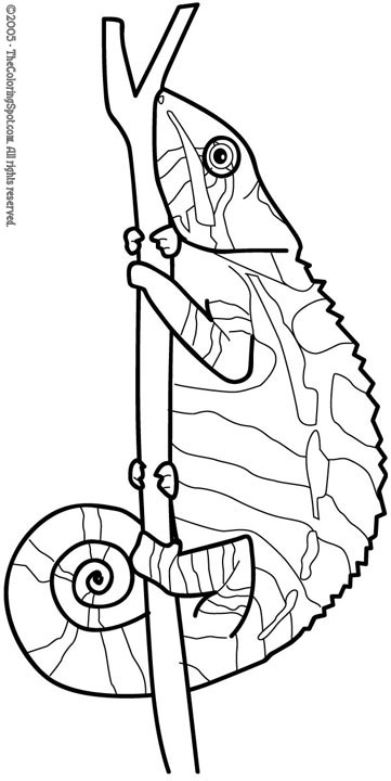 130 Lizard Coloring Pages: A Reptilian Adventure 24