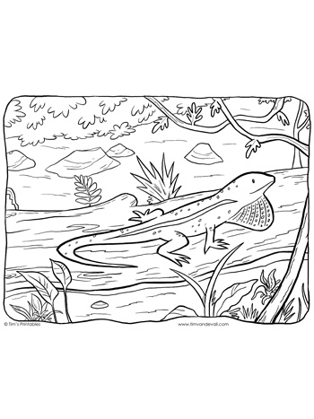 130 Lizard Coloring Pages: A Reptilian Adventure 32