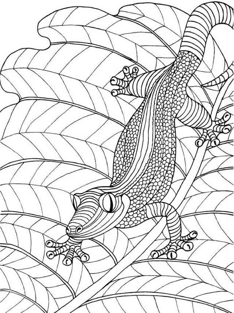 130 Lizard Coloring Pages: A Reptilian Adventure 35