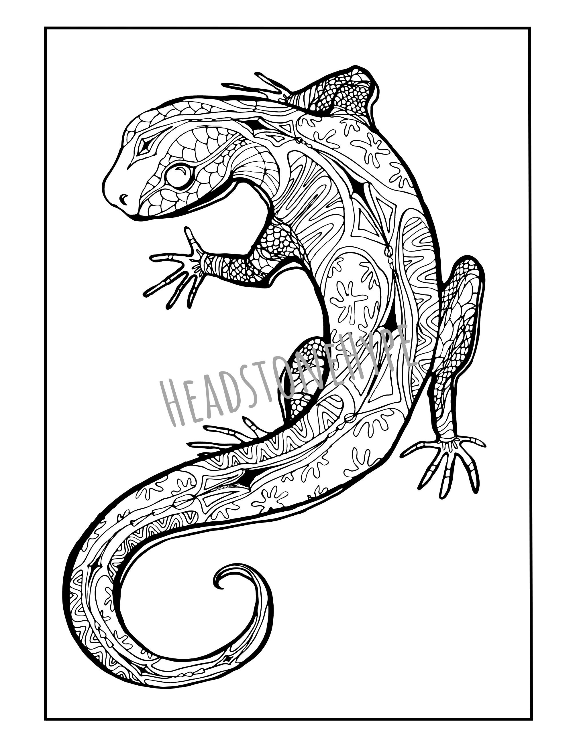 130 Lizard Coloring Pages: A Reptilian Adventure 41