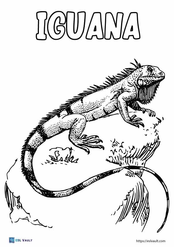 130 Lizard Coloring Pages: A Reptilian Adventure 42