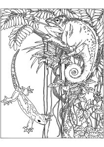 130 Lizard Coloring Pages: A Reptilian Adventure 46