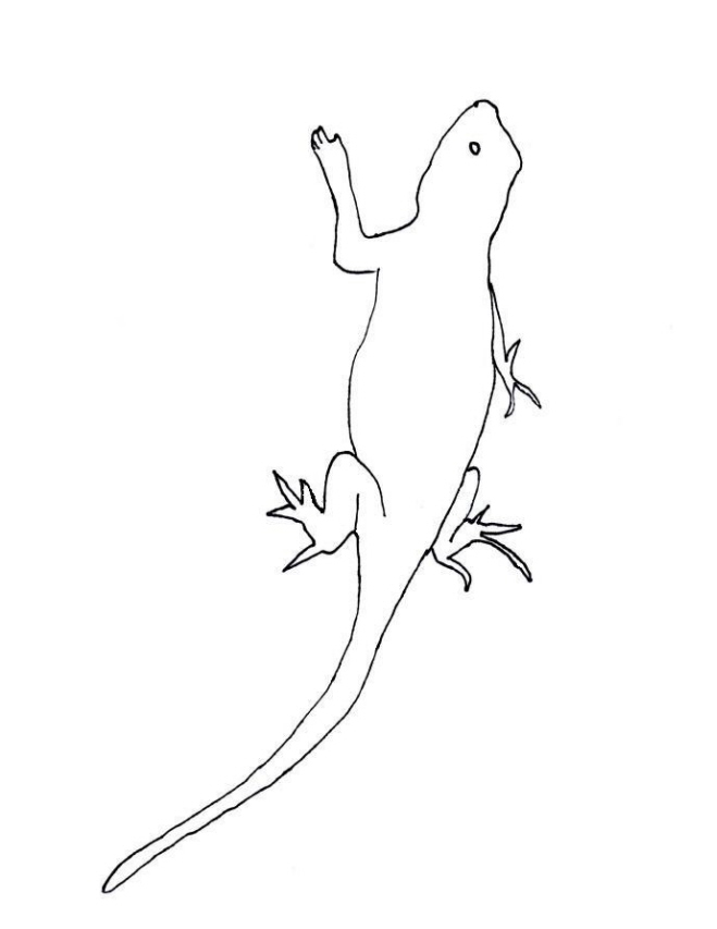 130 Lizard Coloring Pages: A Reptilian Adventure 5