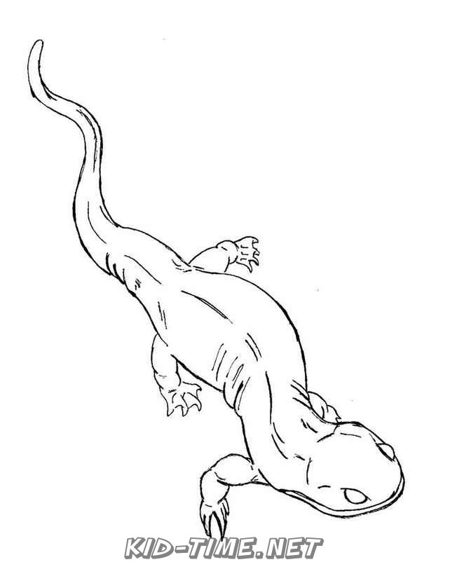 130 Lizard Coloring Pages: A Reptilian Adventure 50