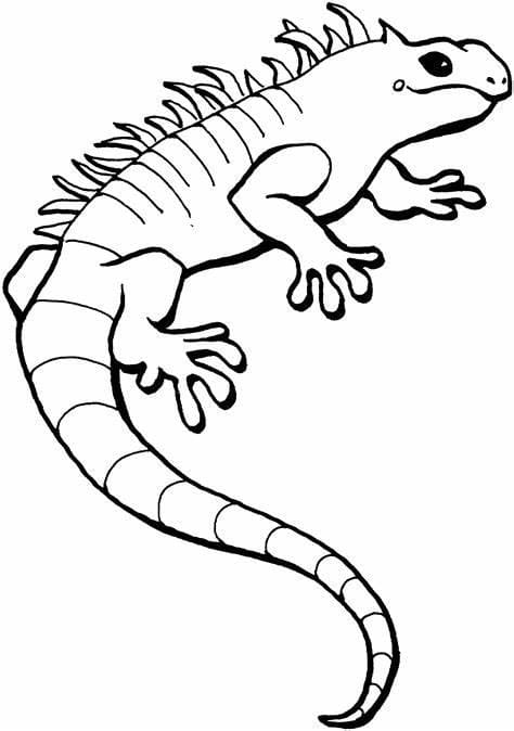 130 Lizard Coloring Pages: A Reptilian Adventure 59