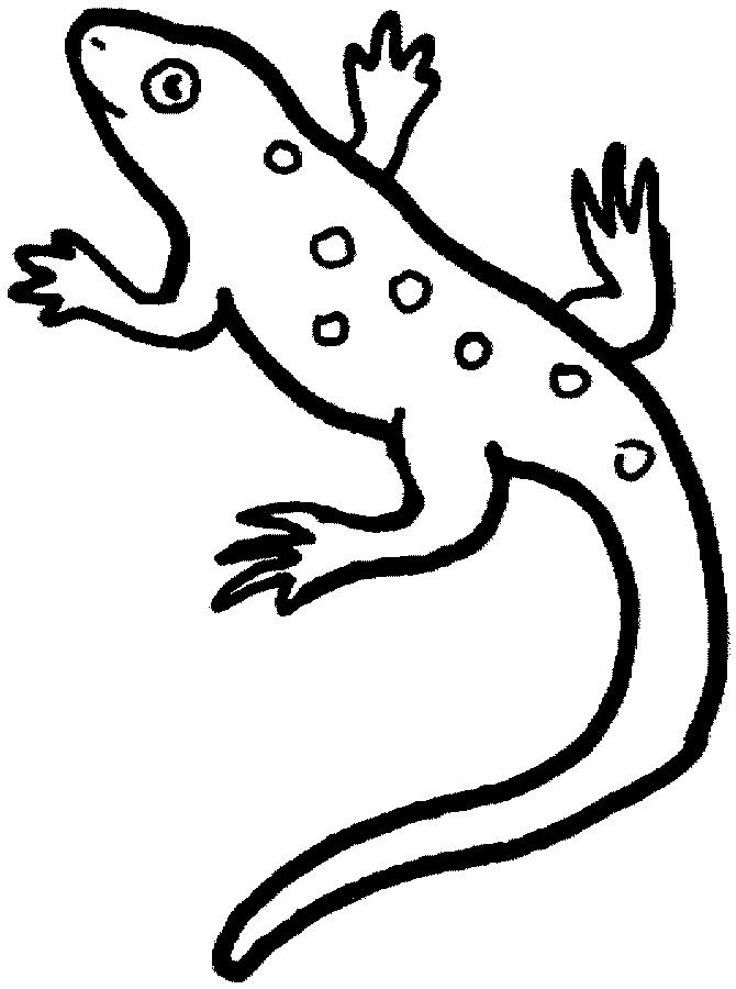 130 Lizard Coloring Pages: A Reptilian Adventure 64