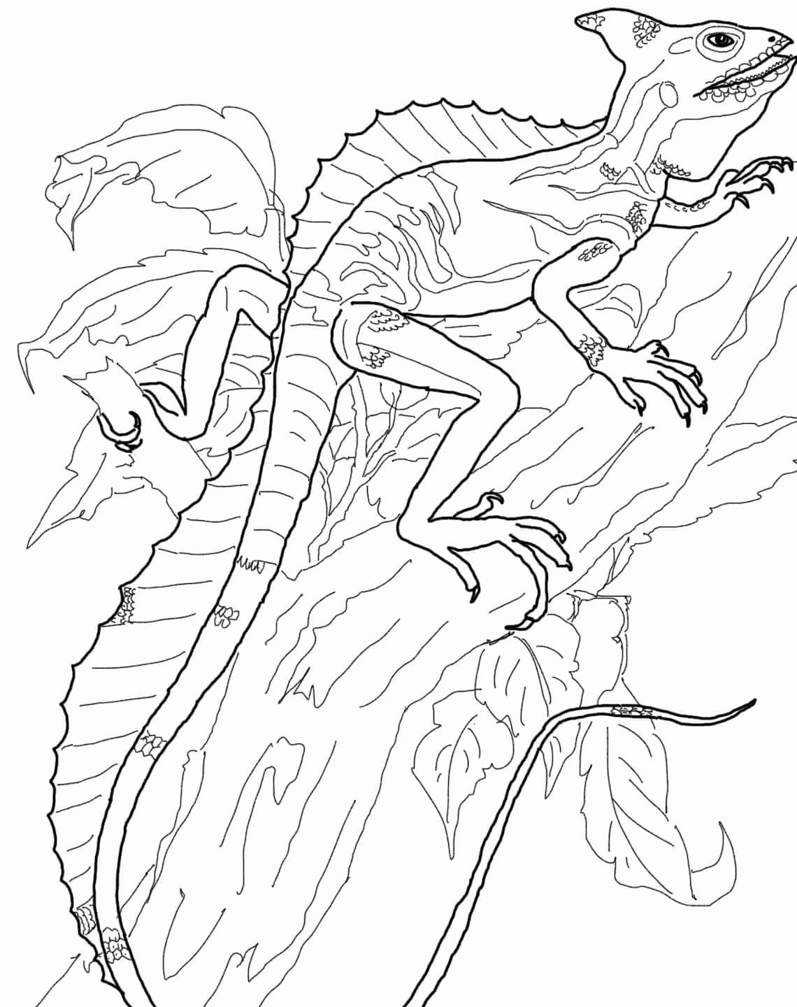 130 Lizard Coloring Pages: A Reptilian Adventure 67