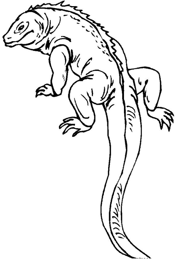 130 Lizard Coloring Pages: A Reptilian Adventure 71