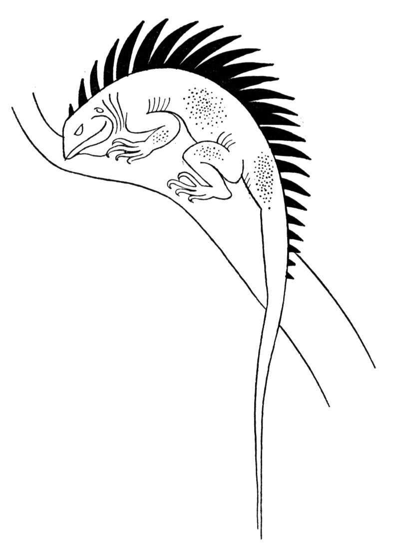 130 Lizard Coloring Pages: A Reptilian Adventure 86